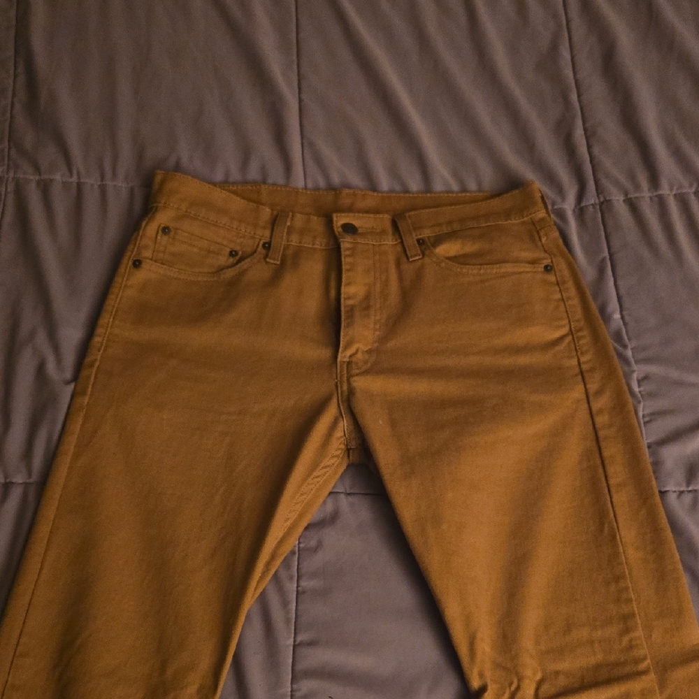 Levi's Men's Brown Pants